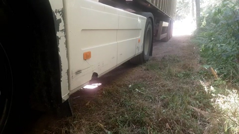 Cuni40  15-06-2022
